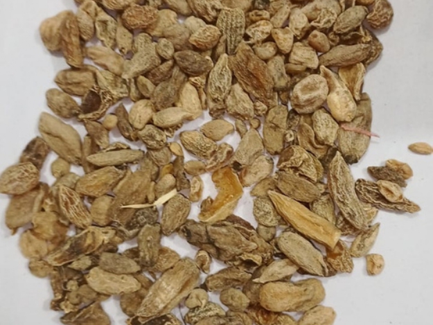 Musli